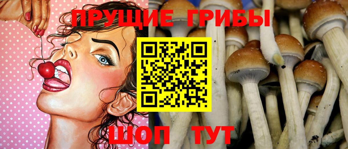 Белово  купить наркотик  Вход с VPN  Галлюциногенные грибы Psilocybine cubensis 